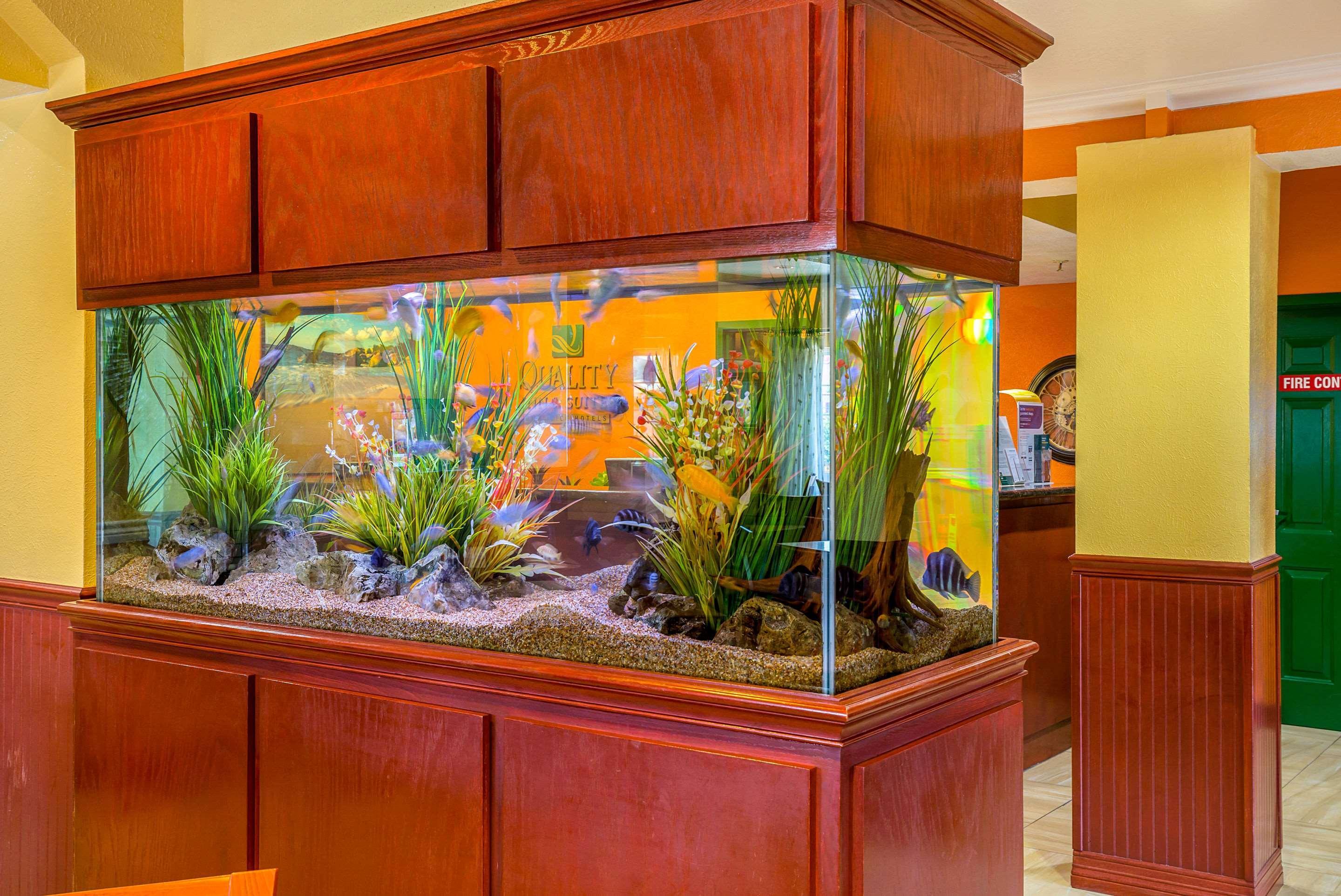 Quality Inn & Suites Galveston - Beachfront Esterno foto